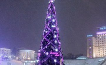 Главную украинскую елку украсят в стиле Евро-2012