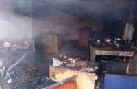 ​В Днепропетровской области сгорела хозпостройка: пострадал 45-летний владелец 