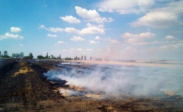 На Днепропетровщине горело поле площадью почти 5 гектаров