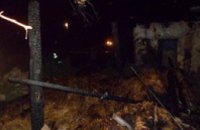 Под Николаевом взорвался снаряд: погибли 2 человека