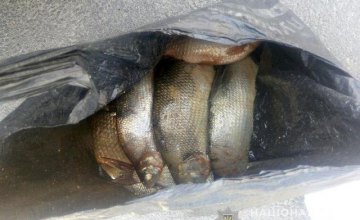На Днепропетровщине задержали браконьера, который пытался продать возле супермаркета 15 кг рыбы 