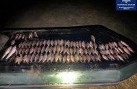 В Днепропетровской области полиция задержала рыбака-браконьера: ущерб почти 10 тыс. грн