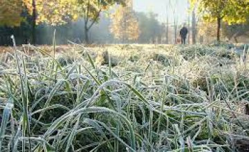 В конце августа в Украине возможны первые заморозки, - Укргидрометцентр