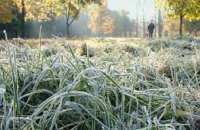 В конце августа в Украине возможны первые заморозки, - Укргидрометцентр