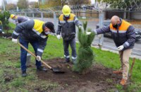 Зелене місто: працівники ДТЕК Дніпровські електромережі висадили близько 400 дерев в Дніпрі та області