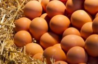 Свинина и куриные яйца лидируют в росте цен на продукты питания в Днепре