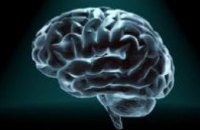Ученые выяснили, как можно «стереть» или «перезаписать» память