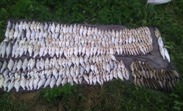 В течение месяца рыбному хозяйству Днепропетровщины браконьеры нанесли ущерб на сумму более 70 тыс. грн