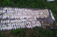 В течение месяца рыбному хозяйству Днепропетровщины браконьеры нанесли ущерб на сумму более 70 тыс. грн