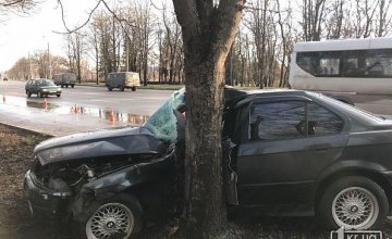На Днепропетровщине BMW влетел в дерево: есть пострадавшие