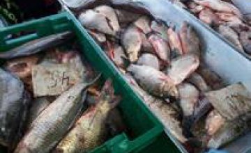 Рыбоохранный патруль изъял 145 кг незаконной рыбы на рынке в Зеленодольске