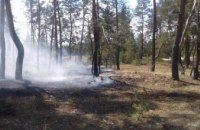 В Павлограде горел хвойный лес