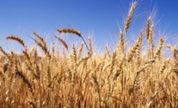 В Днепропетровской области объем сельхозпроизводства увеличился на 4,4%
