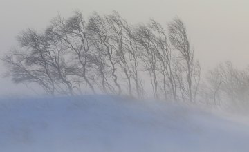 Сегодня к концу дня снег должен растаять из-за повышения температуры, - Днепропетровский Гидрометцентр