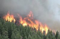 С начала года на Днепропетровщине произошло более 60 лесных пожаров