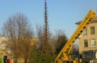 В Днепродзержинске устанавливают главную новогоднюю елку