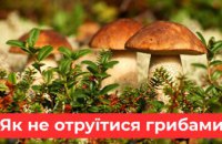 За рік кількість отруєнь дикорослими грибами на Дніпропетровщині зросла втричі