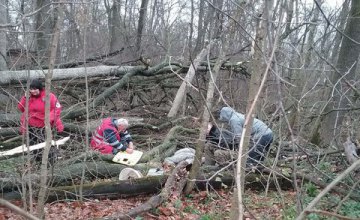 В Киевской области убило деревом женщину, которая собирала грибы