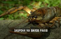 На Дніпропетровщині заборонено ловити раків