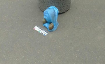 В Кривом Роге возле горисполкома полиция нашла гранаты