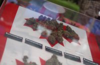 Канадцам разрешили выращивать марихуану дома