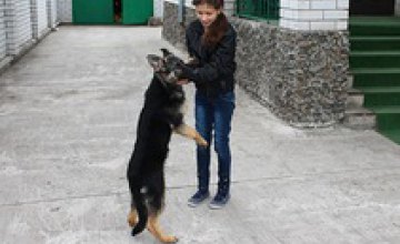 Днепропетровские милиционеры подарили воспитанникам детского дома семейного типа щенка немецкой овчарки (ФОТО)