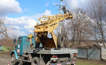 В 2017 году ДТЭК Днепрооблэнерго обустроит 22 гнезда аистов по всей территории Днепропетровской области