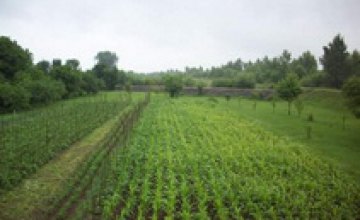 В Винницкой области 3 человека отравились химикатами во время обработки сада