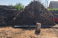 В Днепропетровской области мужчина  торговал незаконно вырубленной древесиной (ФОТО)