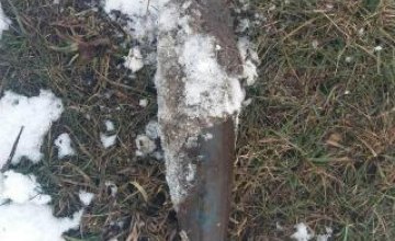 ​На Днепропетровщине в лесополосе мужчина обнаружил артиллерийский снаряд (ФОТО) 