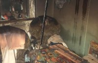 В АНД районе Днепра горел дом на двух владельцев (ФОТО)