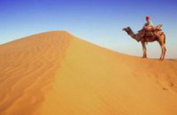 Посреди пустыни Сахара от жажды погибли 87 человек, большинство из них дети