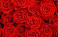 В Украину пытались контрабандой ввести 16 мешков роз