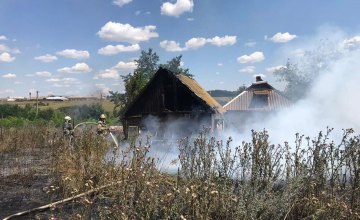 Огонь перебросился на частный дом: в Пятихатском районе ликвидировали масштабный пожар в экосистеме