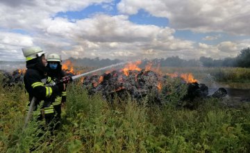В Петриковском районе на территории частного дома сгорело 260 тонн сена и 1,5 га травы