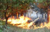 ​С начала года на Днепропетровщине произошло почти 1 тыс. пожаров в экосистемах