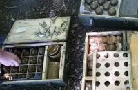 В лесополосе на Днепропетровщине обнаружили тайник с оружием, боеприпасами и взрывчаткой