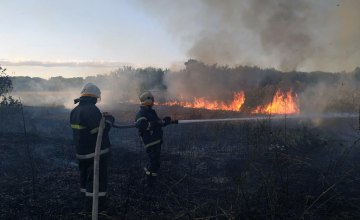 В Петропавловском районе произошел пожар в экосистеме