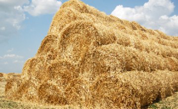 Аграрии Днепропетровской области начали уборку зерновых
