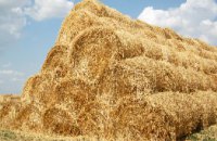 Аграрии Днепропетровской области начали уборку зерновых