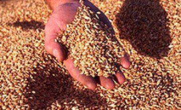 Украина намерена собрать более 45 млн т зерна