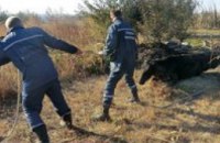 В Днепропетровской области спасатели достали из сливной ямы корову