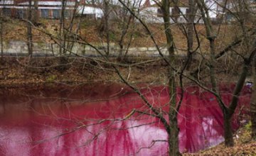 В Сумах озеро окрасилось в ярко- розовый цвет (ФОТО)