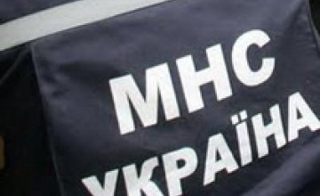 В Украине начался процесс слияния МЧС и МВД в одно ведомство