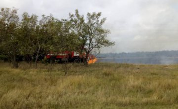 В Николаевской области произошел пожар на территории Кинбурнского полуострова