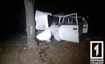 На Днепропетровщине пьяный водитель влетел в дерево: двое пострадавших, одна женщина погибла