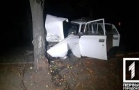 На Днепропетровщине пьяный водитель влетел в дерево: двое пострадавших, одна женщина погибла