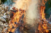 Жители Днепропетровщины могут обратиться на специальную горячую линию по вопросу сжигания листьев