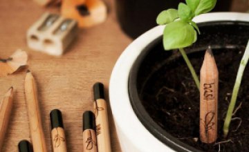 Американские студенты создали эко-карандаши с семенами растений