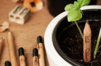 Американские студенты создали эко-карандаши с семенами растений